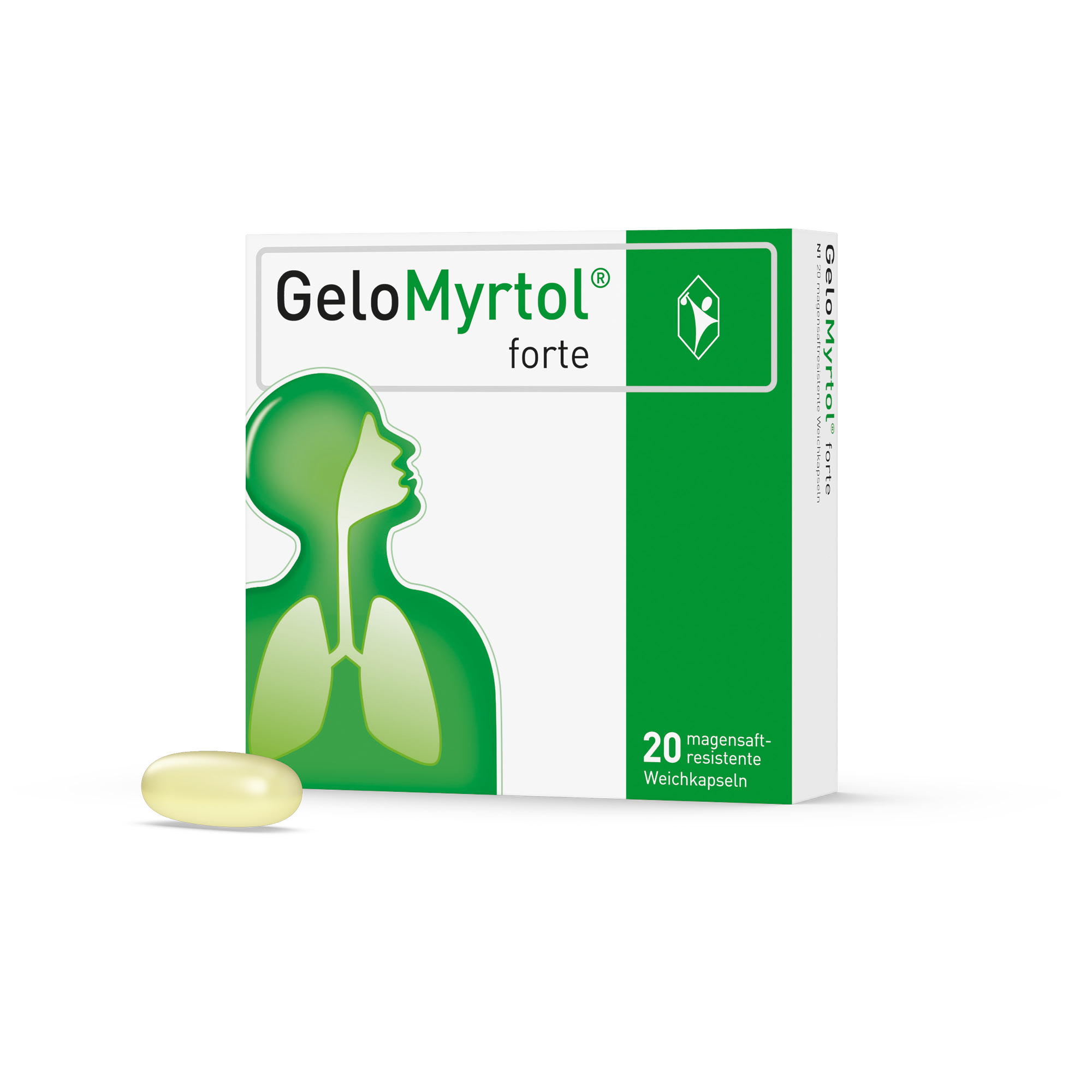 GeloMyrtol forte bei Sinusitis und Bronchitis mit Husten & Schnupfen Abbildung für GeloMyrtol forte bei Sinusitis und Bronchitis mit Husten & Schnupfen