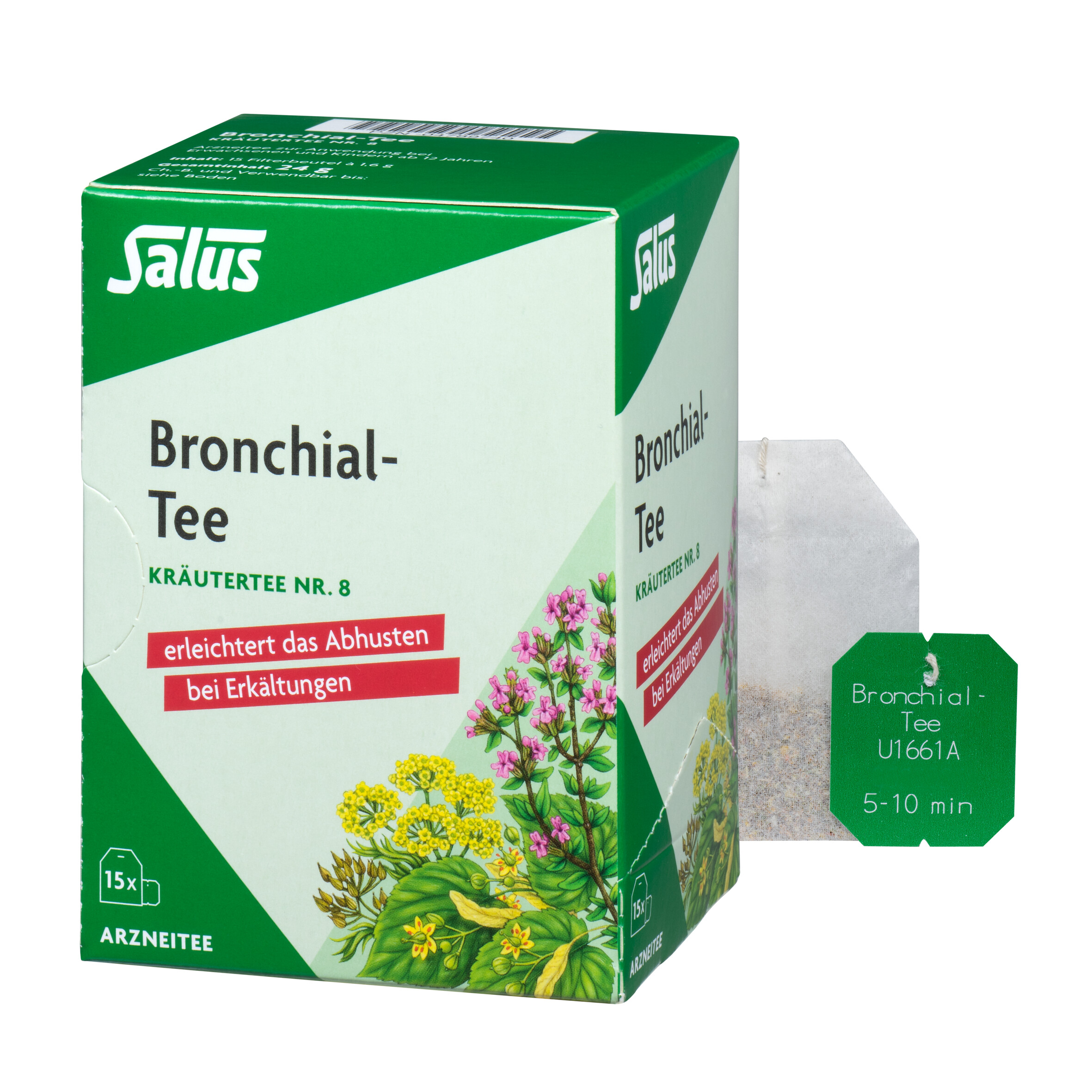 BRONCHIAL TEE Kräutertee Nr.8 Salus Filterbeutel Abbildung für BRONCHIAL TEE Kräutertee Nr.8 Salus Filterbeutel